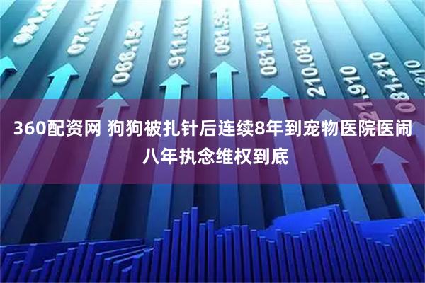 360配资网 狗狗被扎针后连续8年到宠物医院医闹 八年执念维权到底