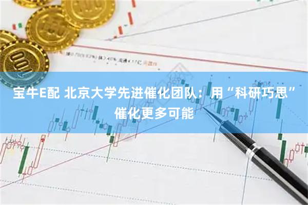 宝牛E配 北京大学先进催化团队:用“科研巧思”催化更多可能