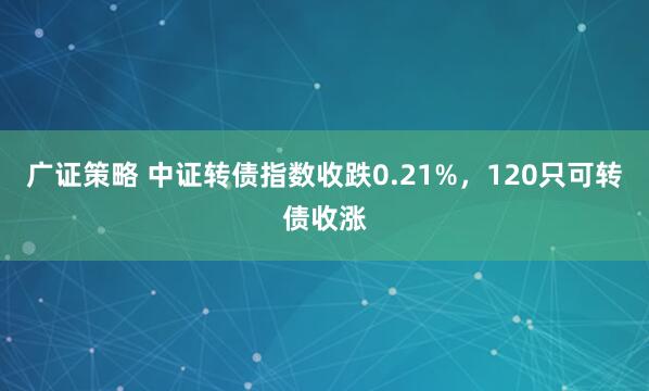 广证策略 中证转债指数收跌0.21%，120只可转债收涨
