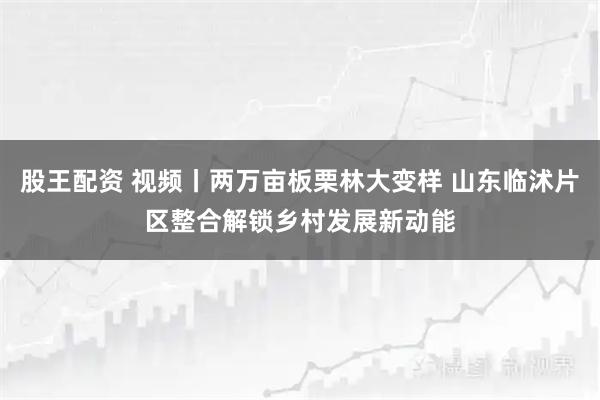 股王配资 视频丨两万亩板栗林大变样 山东临沭片区整合解锁乡村发展新动能